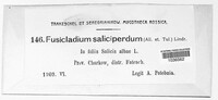 Fusicladium saliciperdum image
